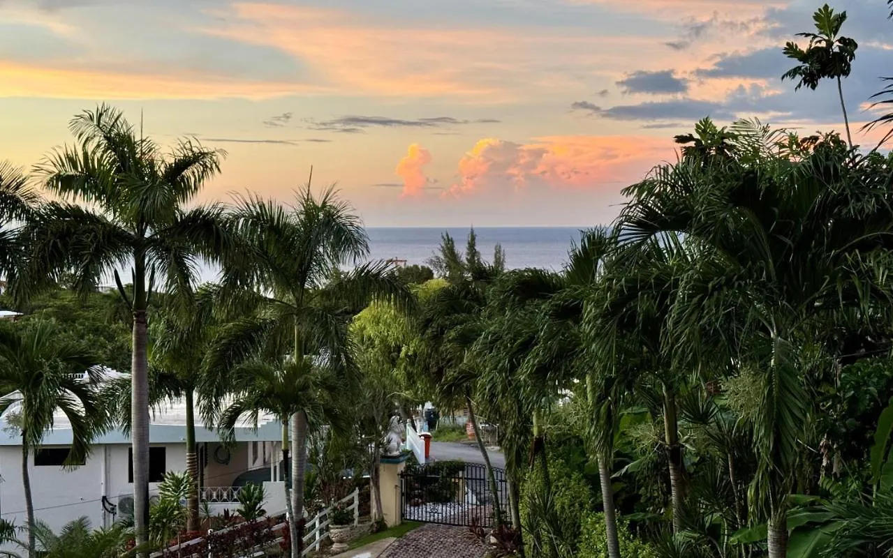 Casita 4 At Ceiba Tree Inn. Tranquility With Garden Views And Pergola With Ocean Overlook Rincon