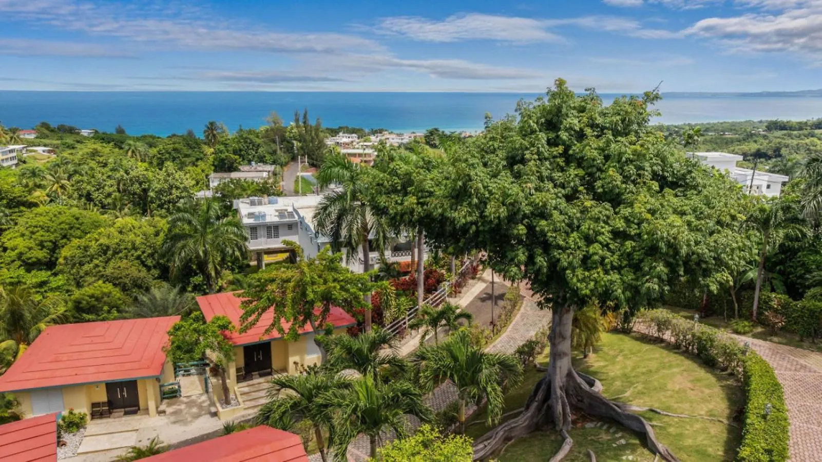 Casita 4 At Ceiba Tree Inn. Tranquility With Garden Views And Pergola With Ocean Overlook Rincón Apartmán